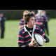 image 17 of 71